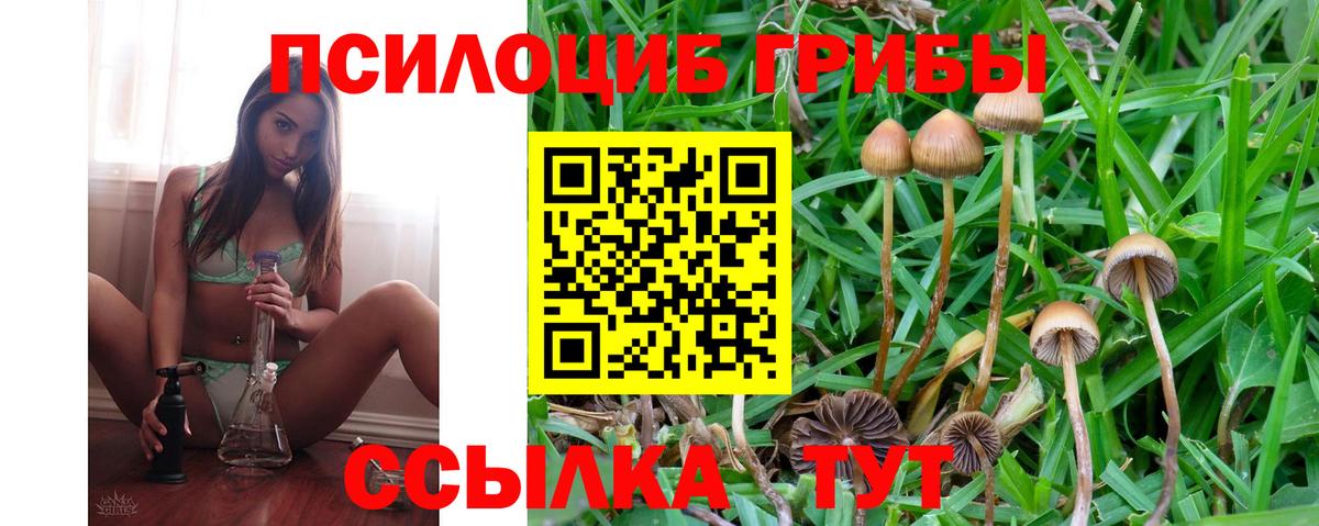 купить наркотики цена  Галлюциногенные грибы ЛСД  Вход с VPN  Белово 